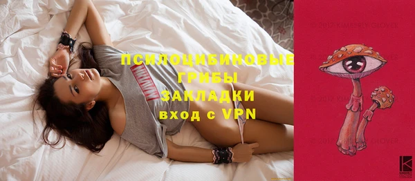 a pvp Аркадак