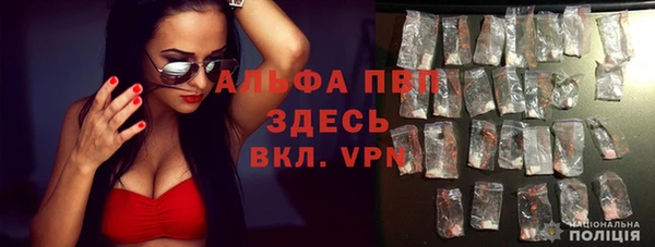 спиды Арсеньев
